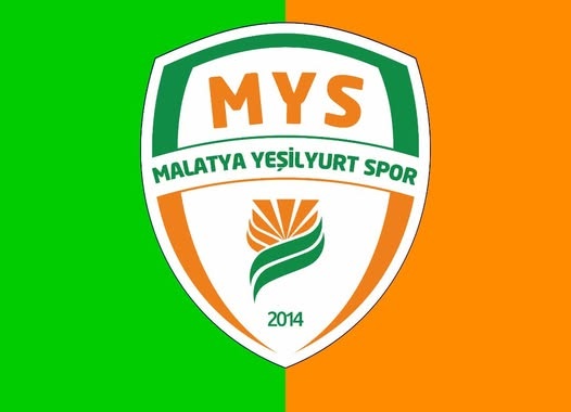 Türkiye Futbol Federasyonu (TFF)