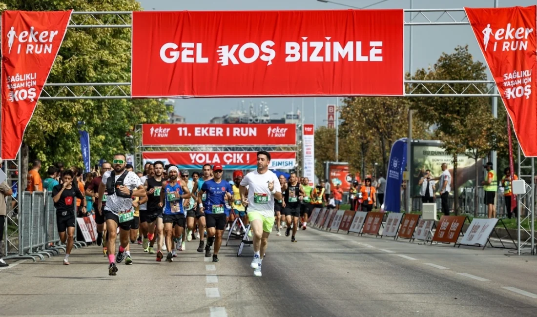  Bu...