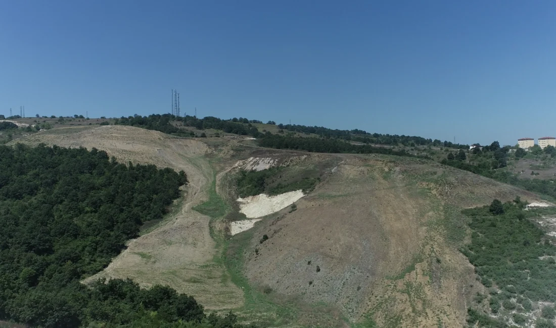 Kocaeli’de Kandıra Akçakese’ye 4 bin 500 ağaçlık doğal orman  Kocaeli...